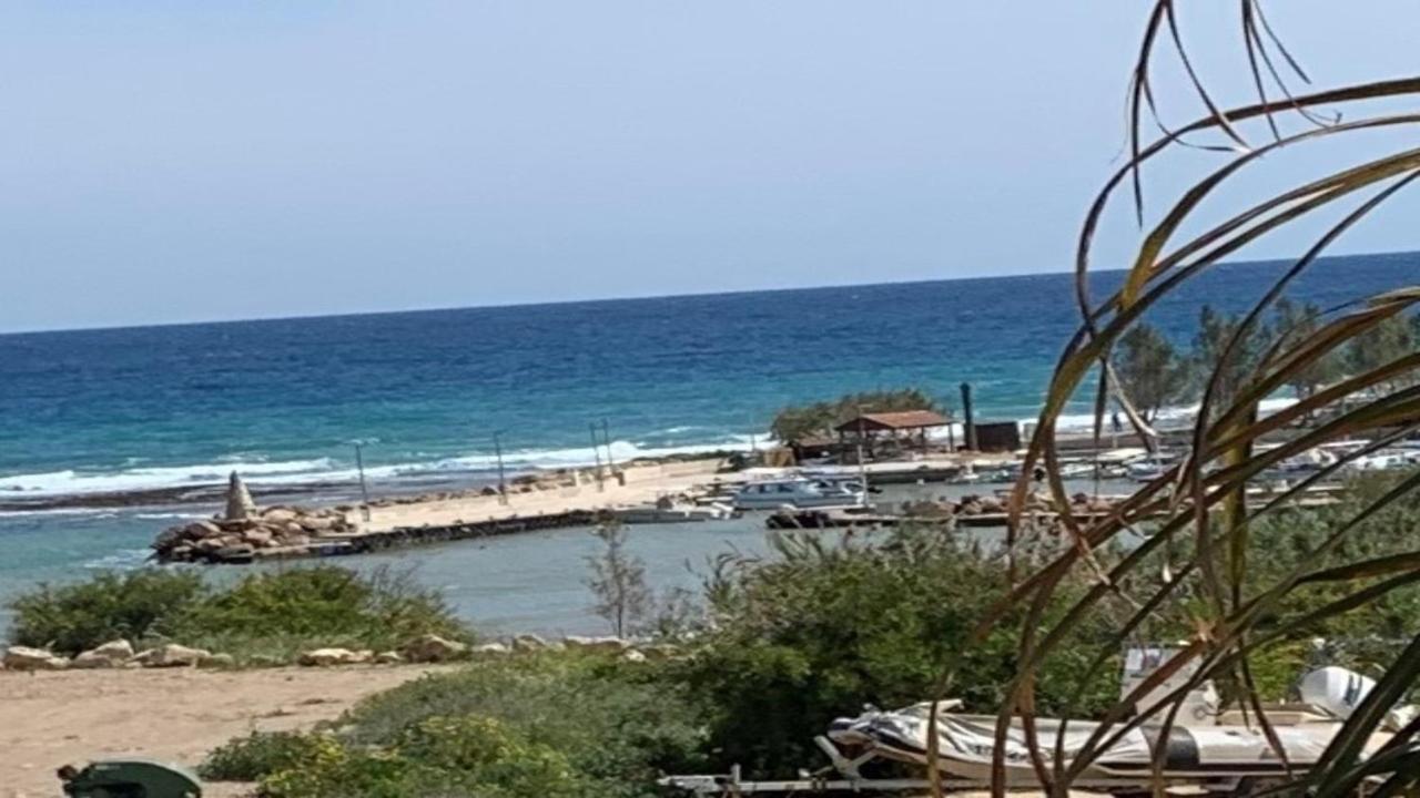 Villa Emiliana Paralimni Dış mekan fotoğraf